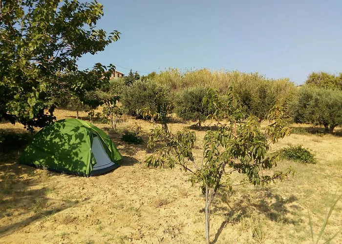 招待所 Pergole 3*